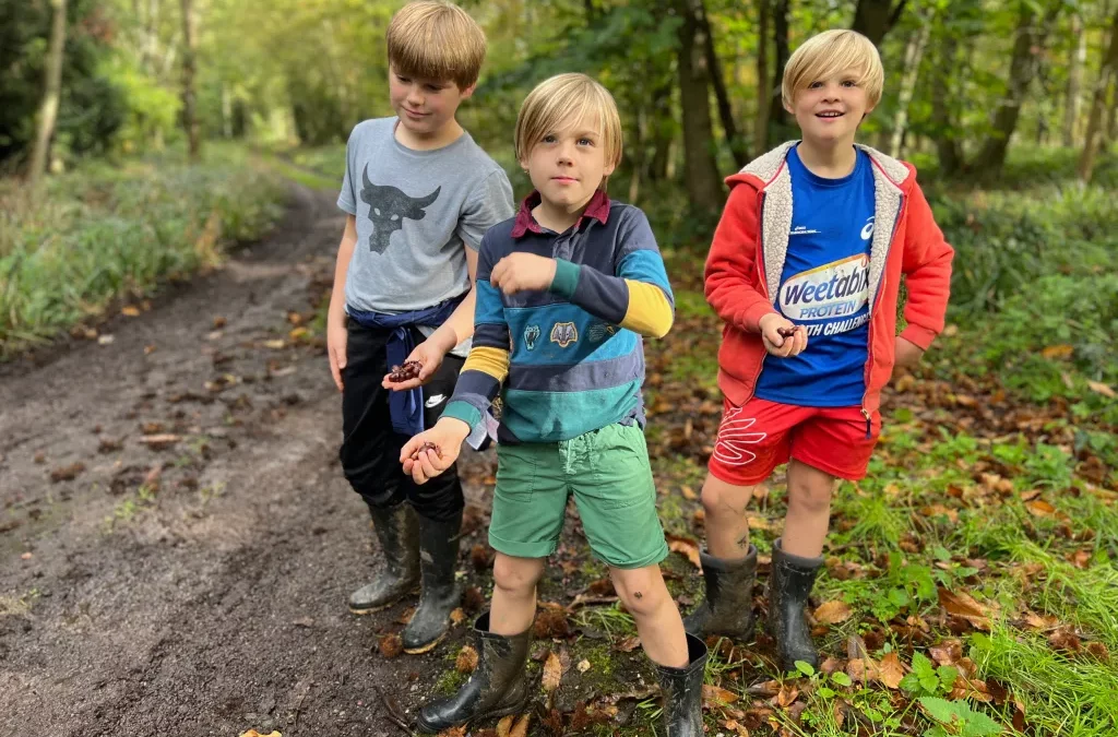 Autumn Adventures in the Oxfordshire Cotswolds